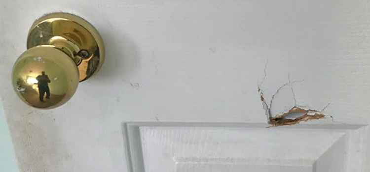 interior door hole repair Parkway