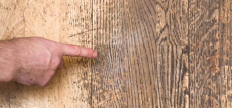 Wood Door Scratch Repair in Parkway